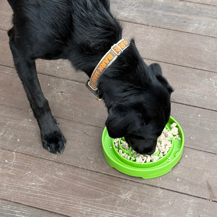 Garden Design eTray - Shallow Slow Feeder Dog Bowl - Partner Brand