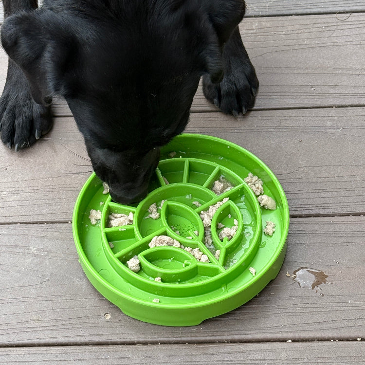 Garden Design eTray - Shallow Slow Feeder Dog Bowl - Partner Brand