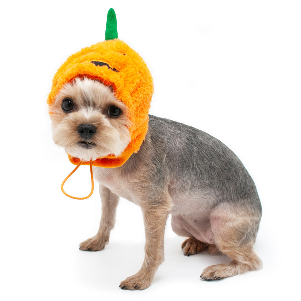 Jack-O Hat - Partner Brand