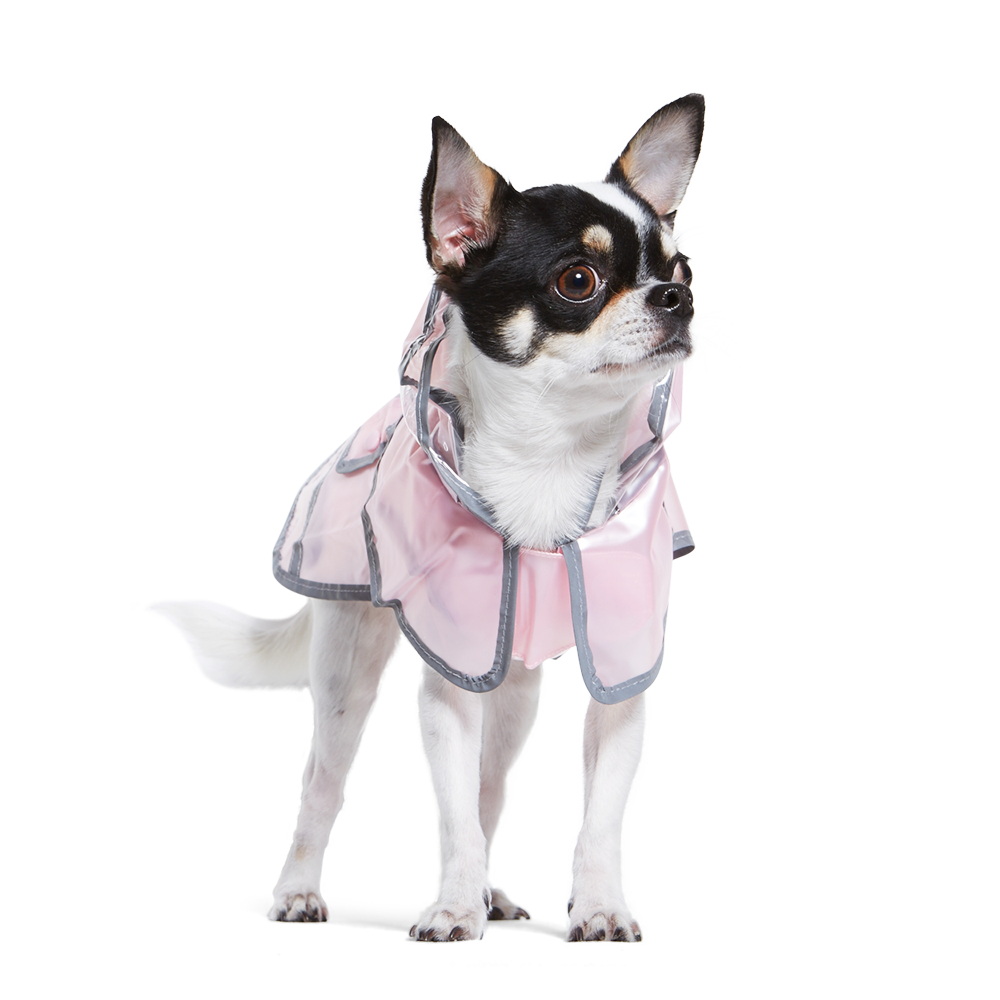 Jelly Raincoat - Partner Brand