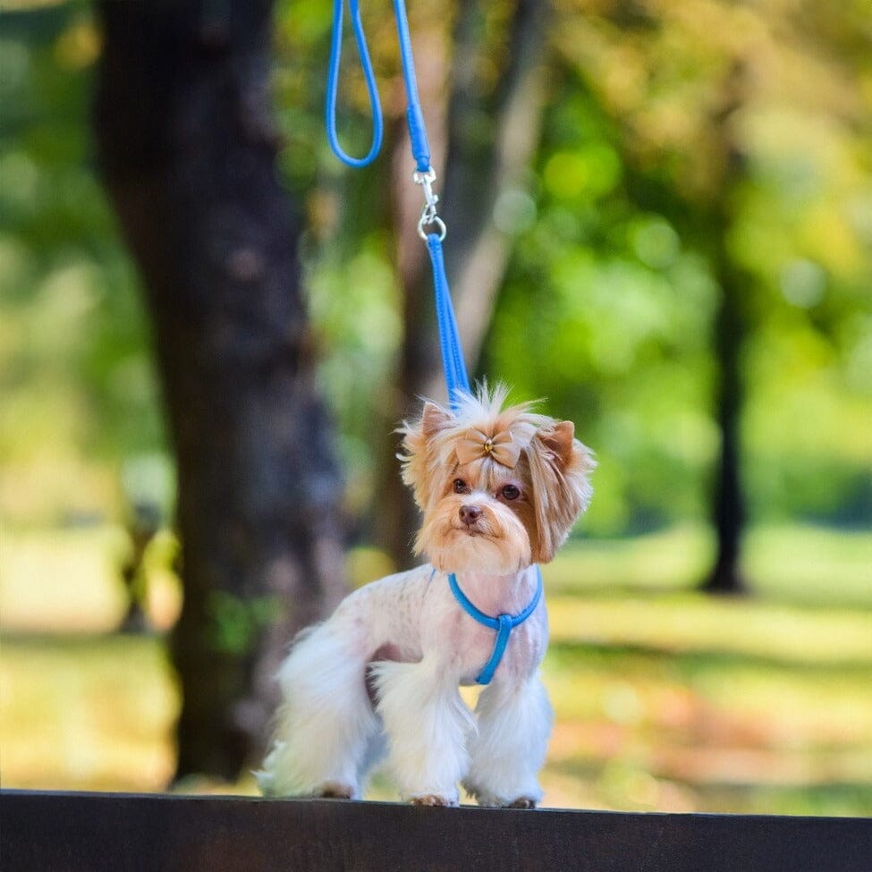 Soft Leather Round Step-In Dog Harness + Round Dog Lead - Partner Brand