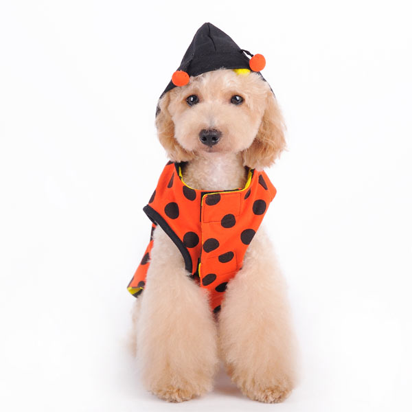 Ladybug Bumblebee Reversible - Partner Brand