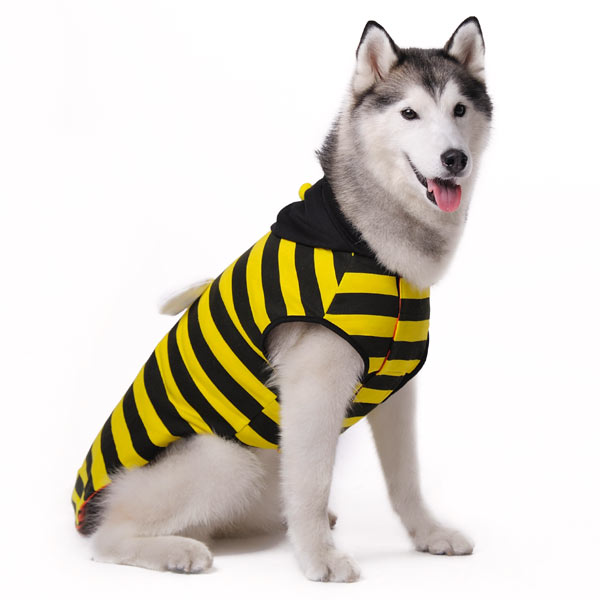 Ladybug Bumblebee Reversible - Partner Brand