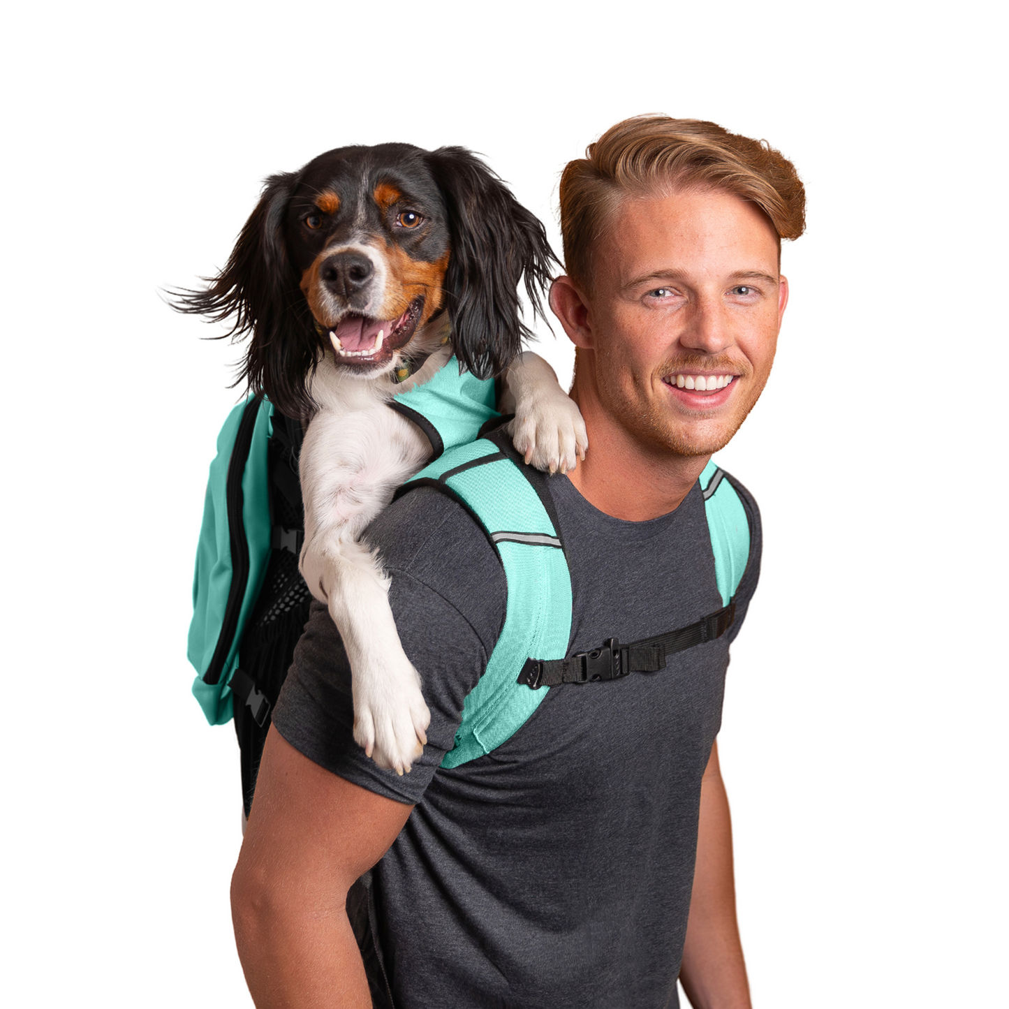 Plus 2 | Dog Carrier with Removable Storage - Partner Brand
