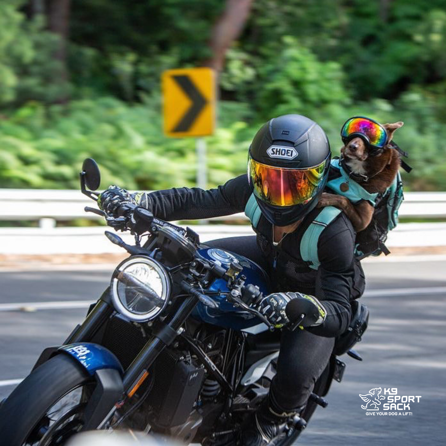 Plus 2 | Dog Carrier with Removable Storage - Partner Brand