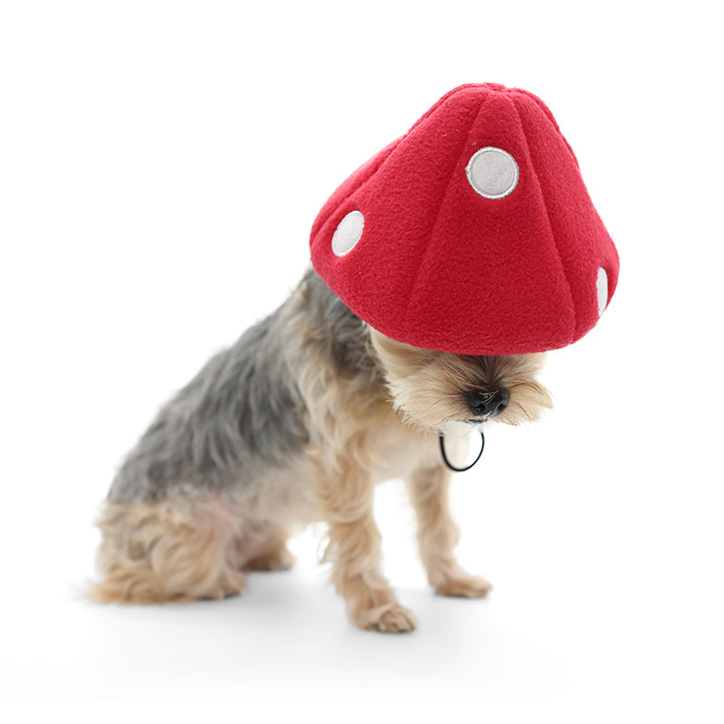Mushroom Hat - Partner Brand