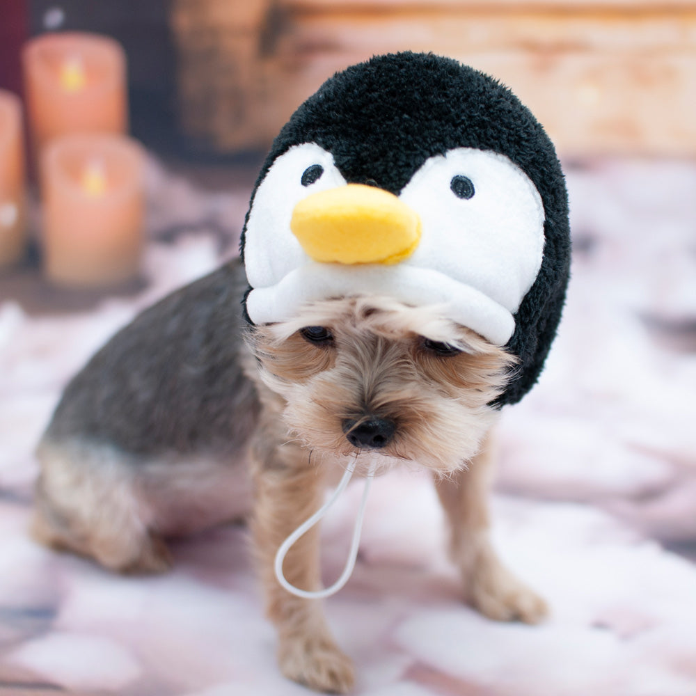 Penguin Hat - Partner Brand