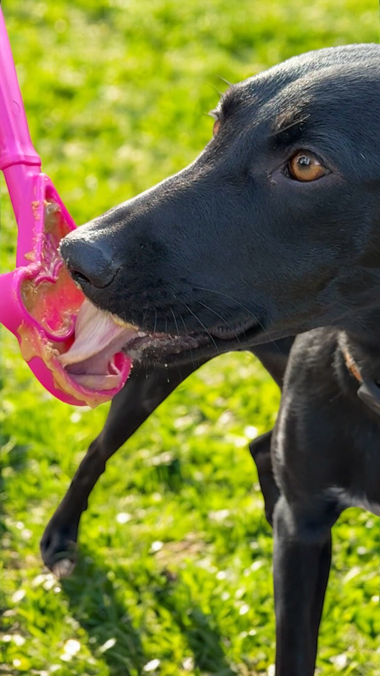 eStick Hand-Held Dog Enrichment Toy - Interactive Lick Stick - Partner Brand