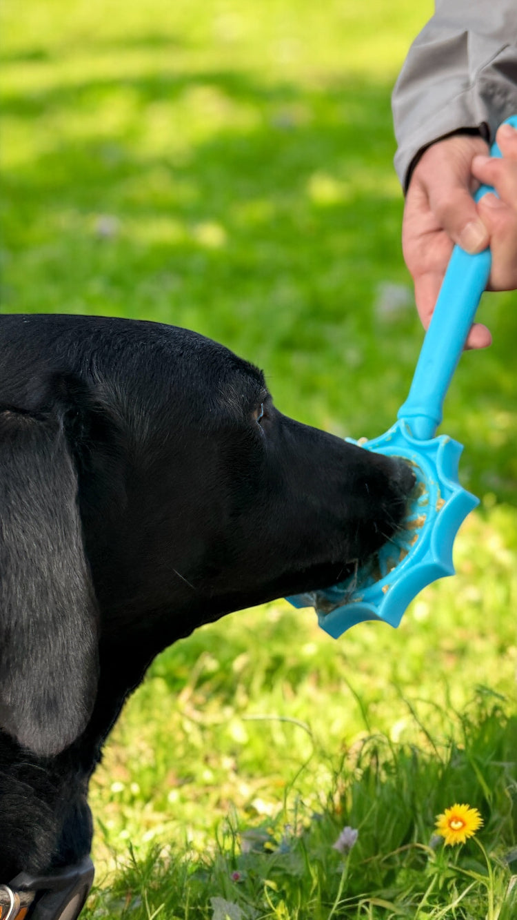 eStick Hand-Held Dog Enrichment Toy - Interactive Lick Stick - Partner Brand