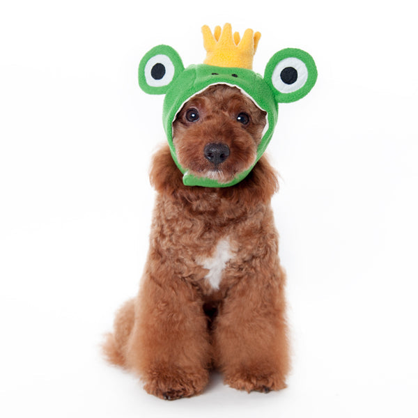 Frog Hat - Partner Brand