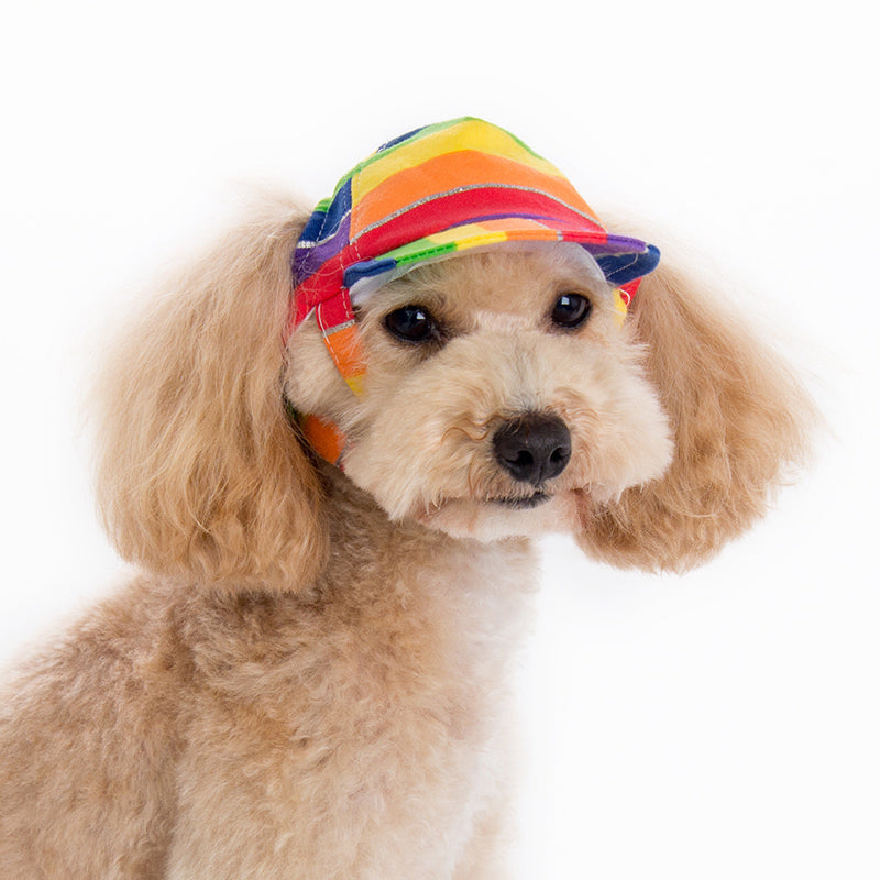 Rainbow Hat - Partner Brand