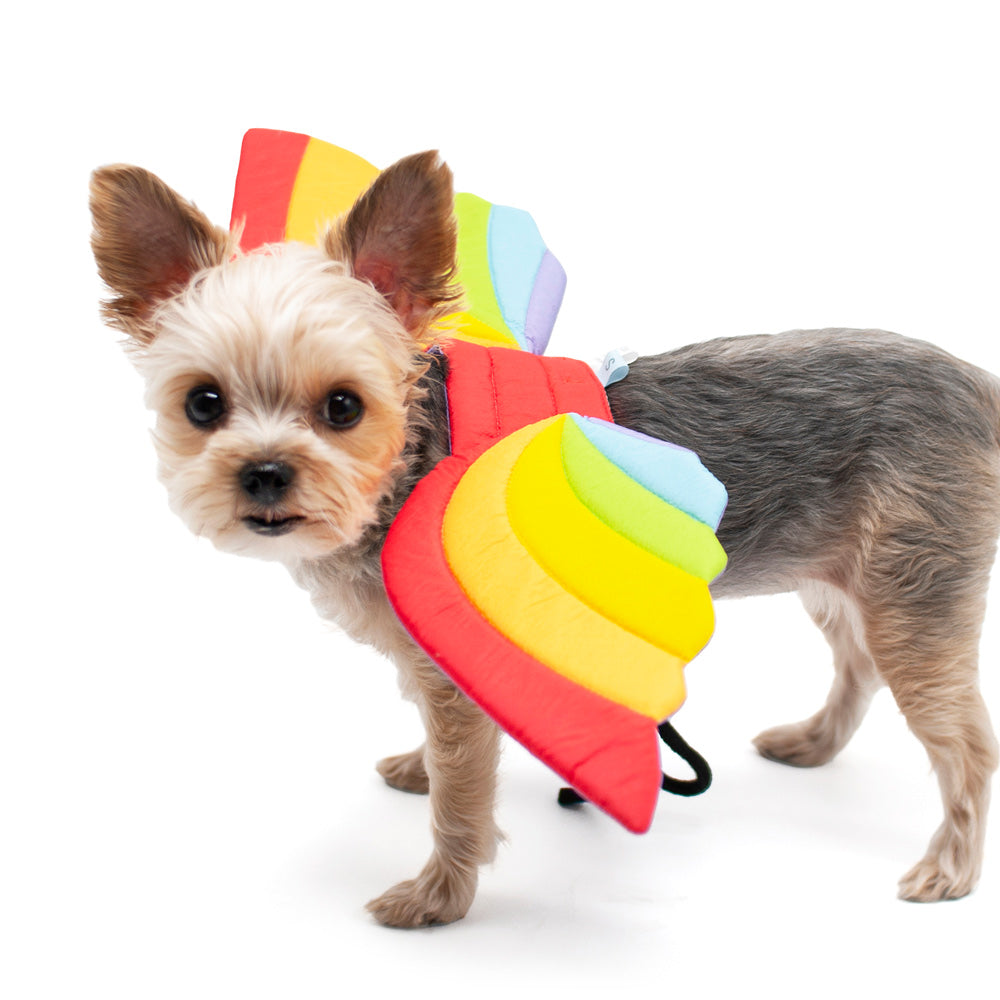 Rainbow Wing - Partner Brand