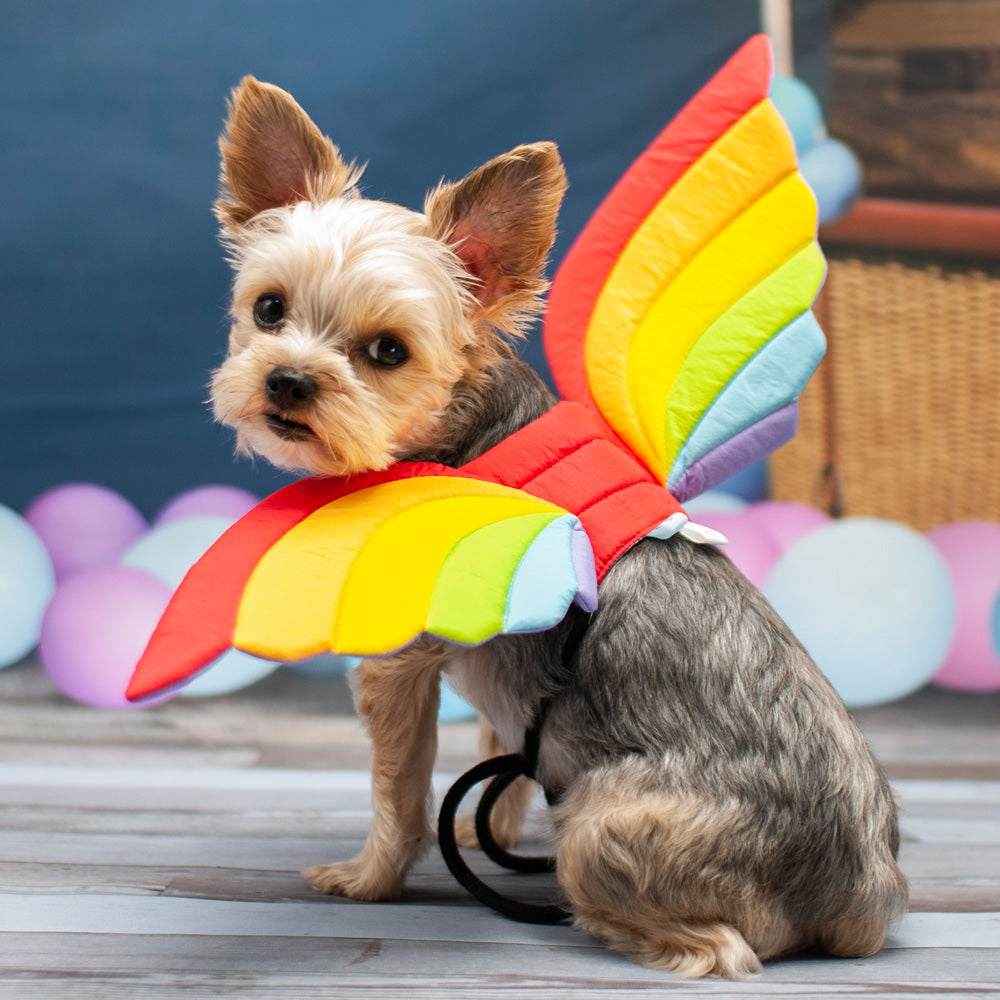 Rainbow Wing - Partner Brand