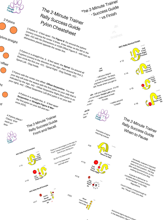 2-Minute Trainer Rally Guides Bundle