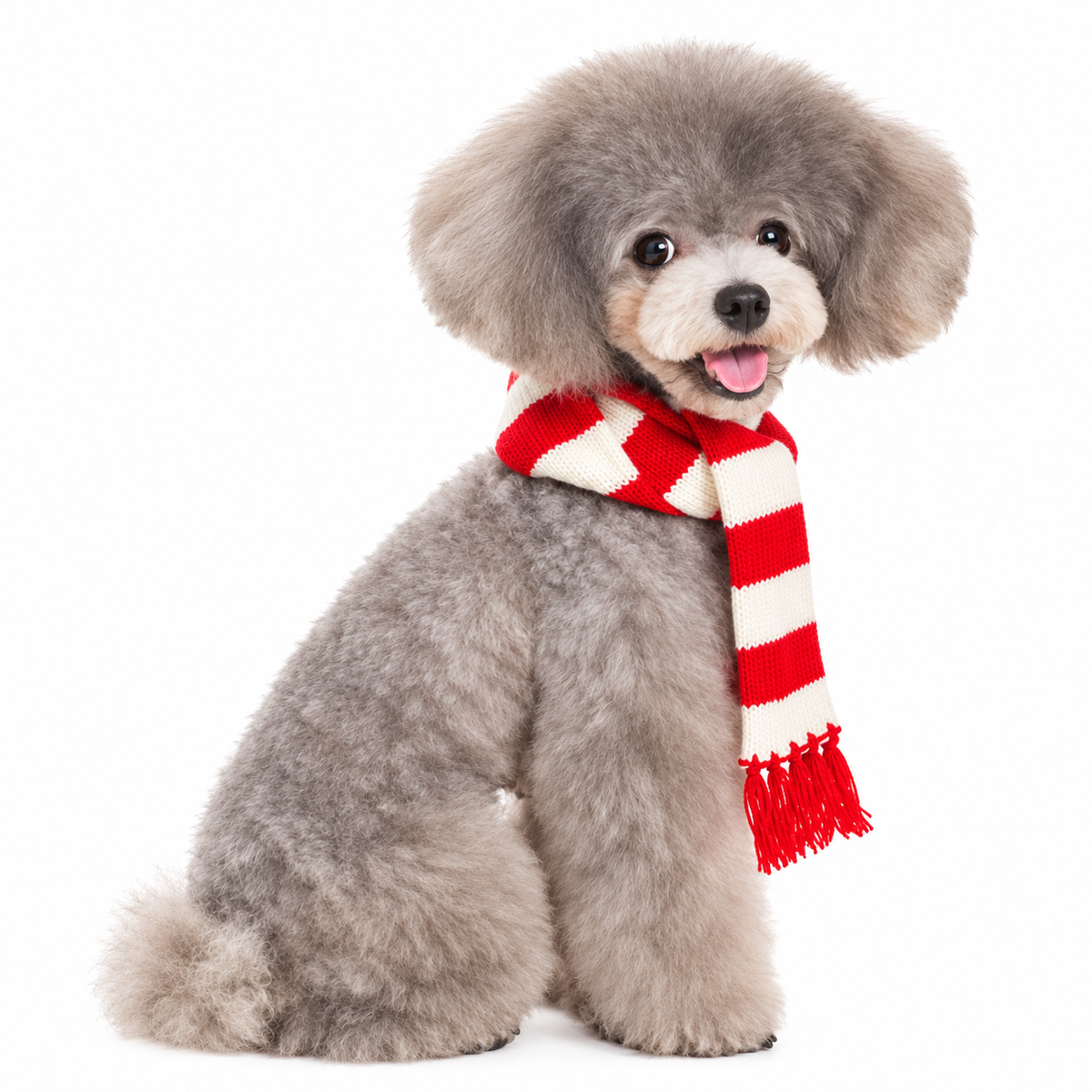 Urban Stripe Scarf - Partner Brand
