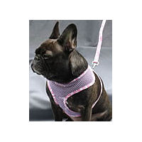 Aloha Mesh Vest Harness