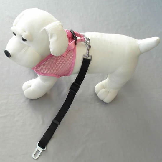 Seatbelt Leash by Bark Appeal