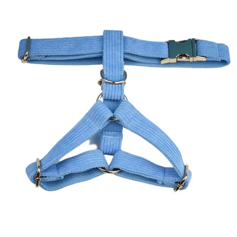 Blue Corduroy Set - Partner Brand