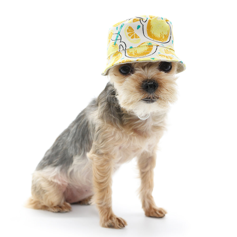 Bucket Hat Lemonade - Partner Brand