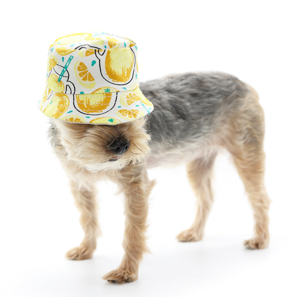 Bucket Hat Lemonade - Partner Brand