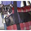 A Boston Terrier in the Red Plaid Padded Shoulder Carrier.