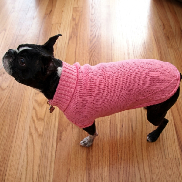 Solid Turtleneck