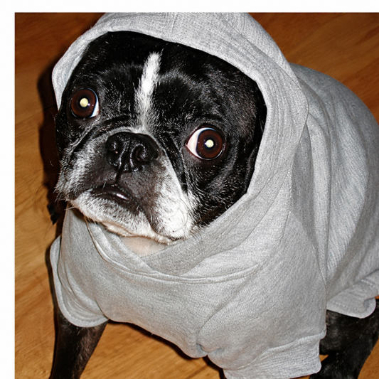 Hoodie Sweatshirt