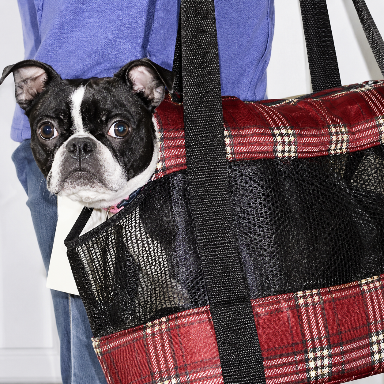 Padded Shoulder Dog Carrier