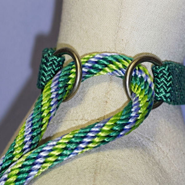 Twist Martingale "Dog Walker"