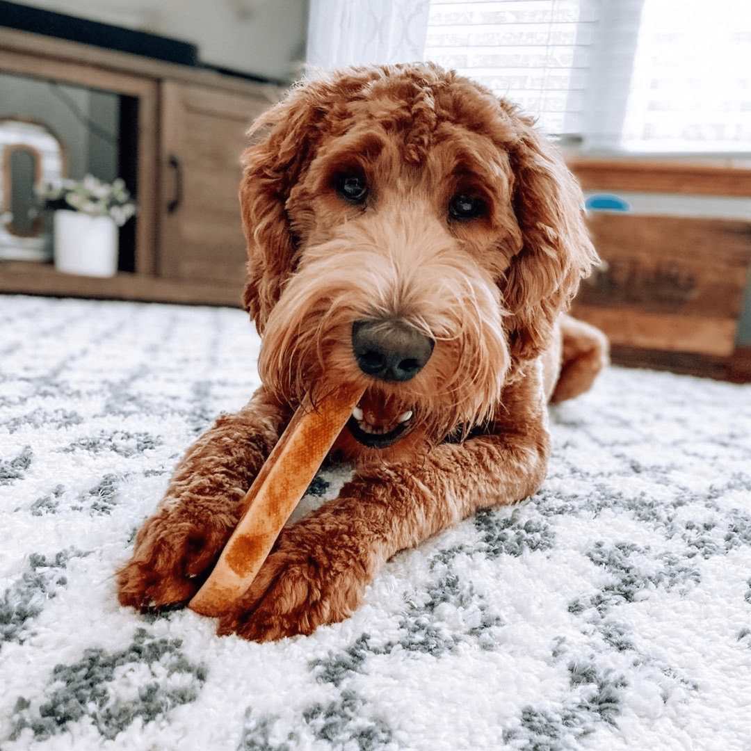 100% Yak Milk Chews for Dogs - Partner Brand