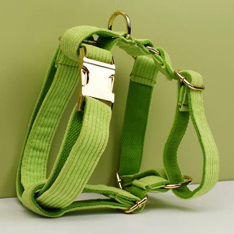 Apple Green Corduroy Set - Partner Brand