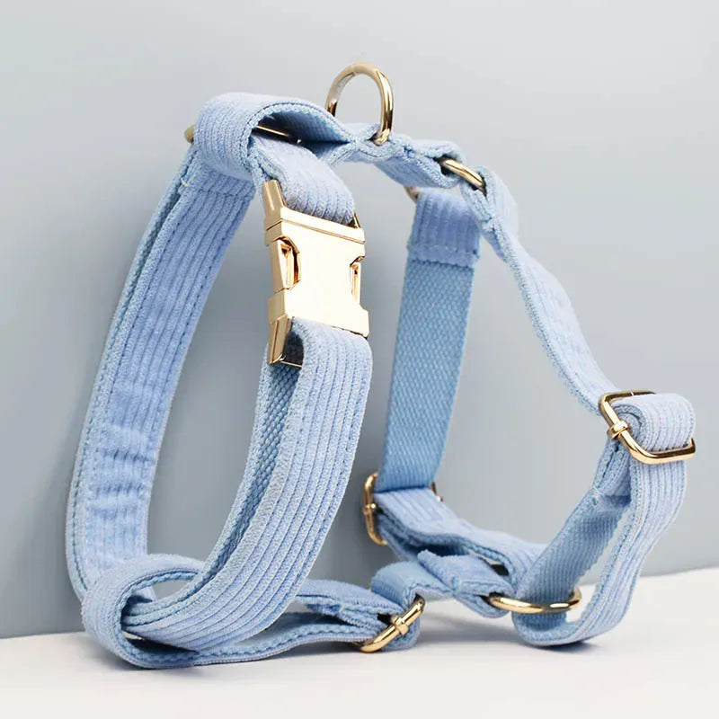 Blue Corduroy Set - Partner Brand