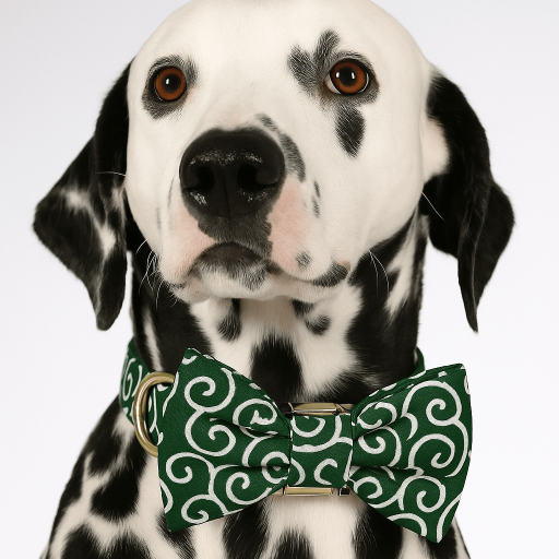 Emerald Swirl Print Set - Partner Brand