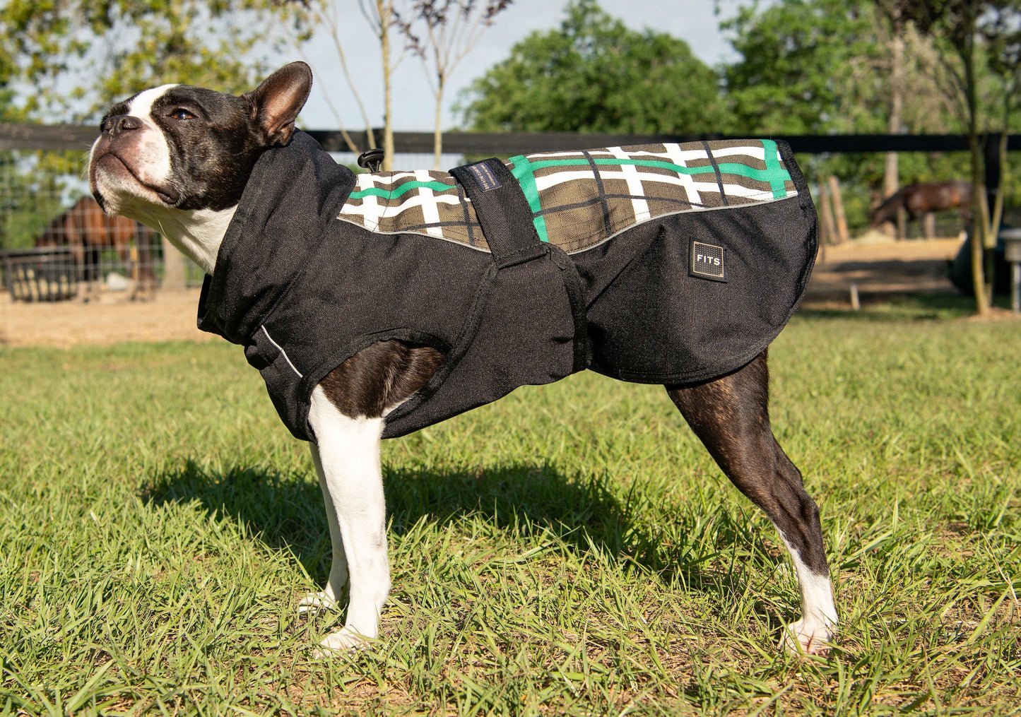 All Weather Dog Coat - Partner Brand