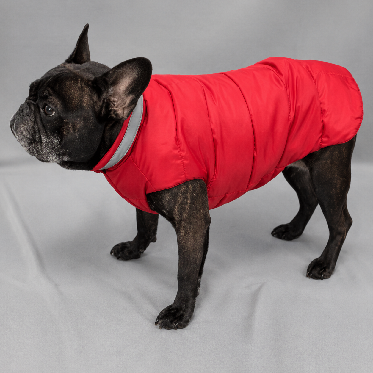 North Paw Puffy Vest