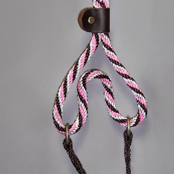 Twist Martingale "Dog Walker"