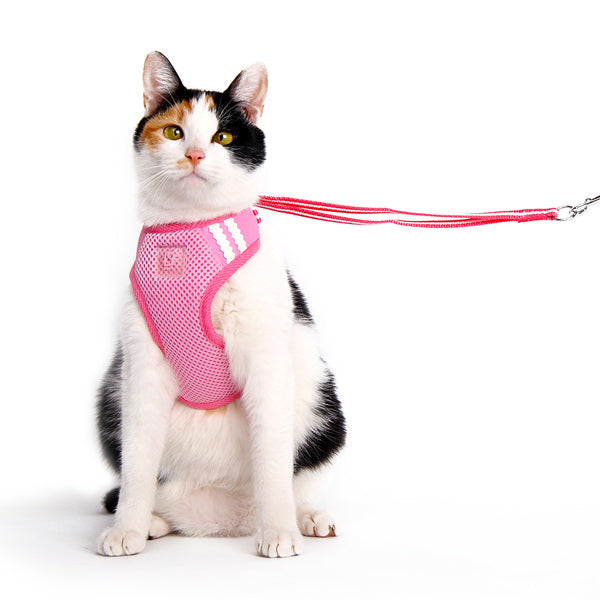 EasyGO Harness - Partner Brand