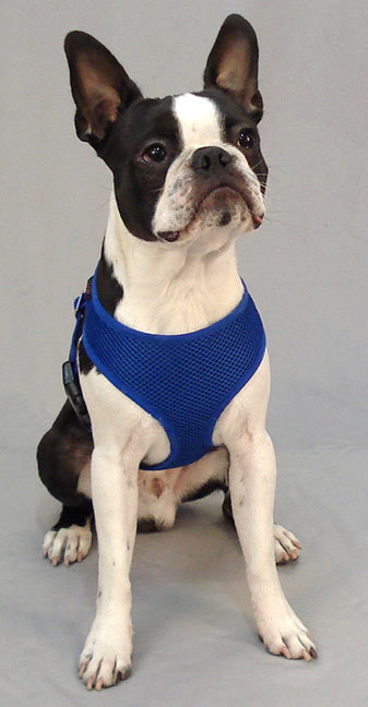 Freedom Harness