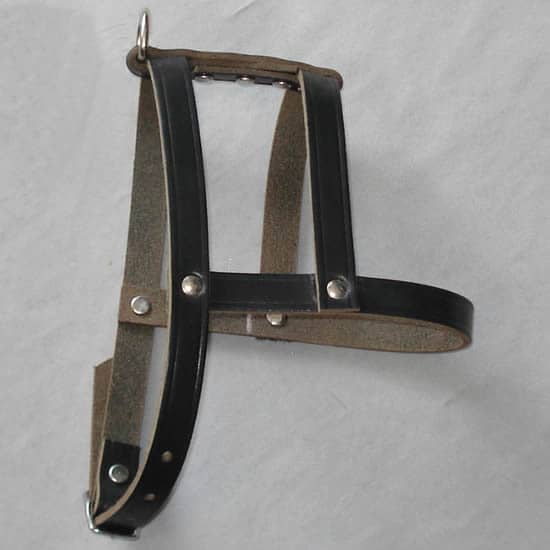 Leather H-Style Harness for Small Dogs