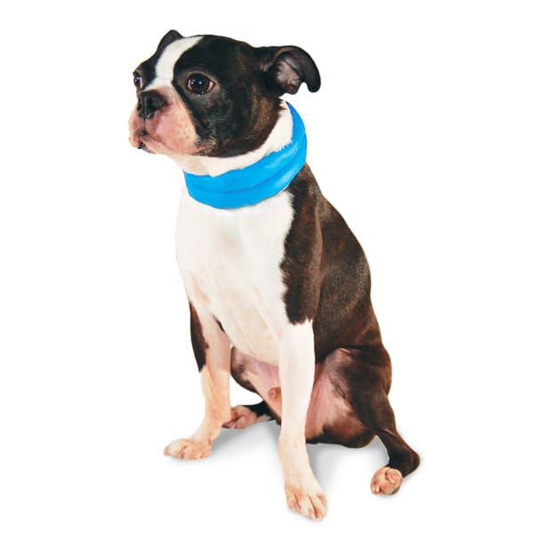 iCool Scarf - Partner Brand