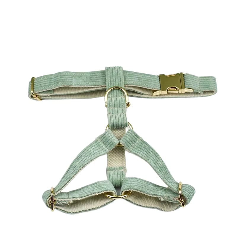 Light Green Corduroy Set - Partner Brand