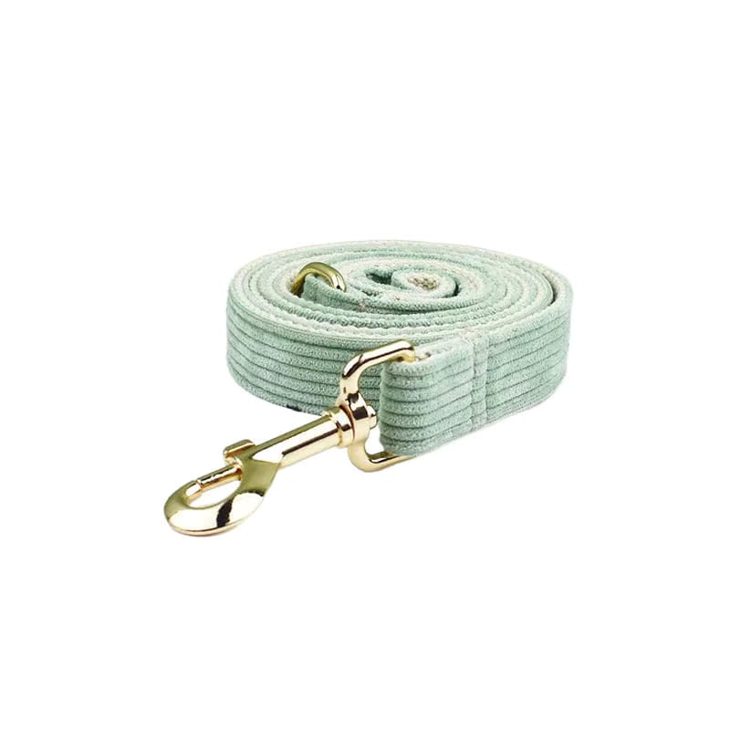 Light Green Corduroy Set - Partner Brand