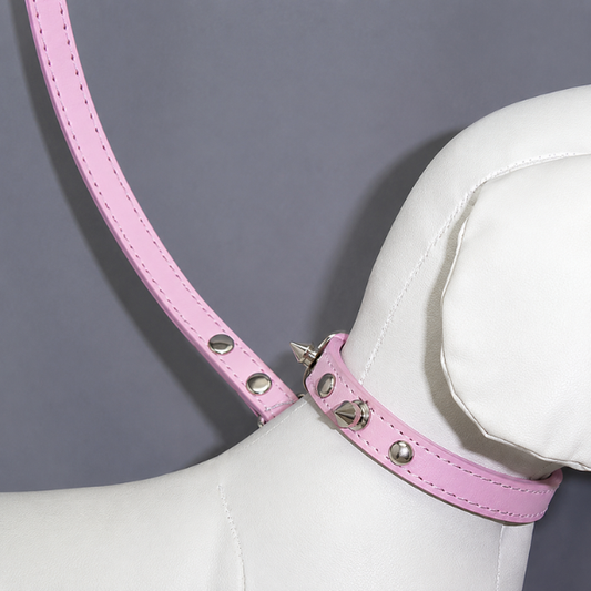 Top Dog Leash