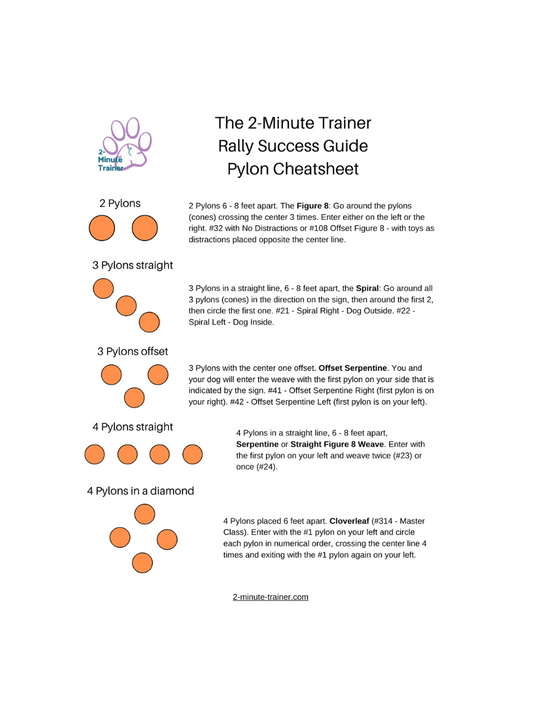 2-Minute Trainer Rally Pylon Cheatsheet