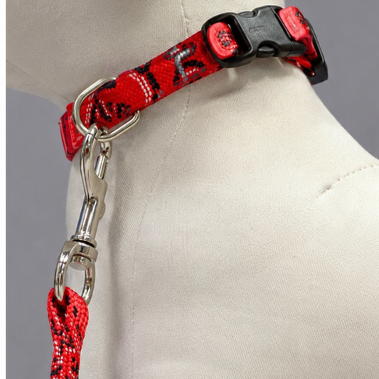Yellow Dog Design Leash