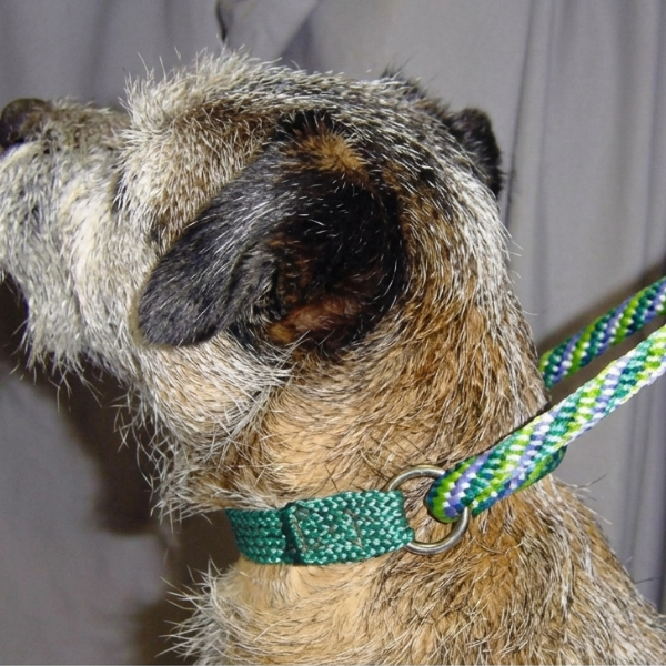 Twist Martingale "Dog Walker"