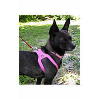 Choke Free Shoulder Collar Dog Harness