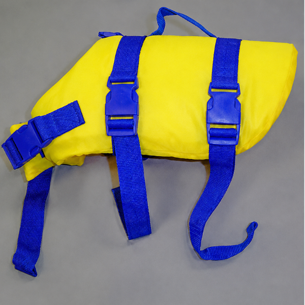 Life Jacket