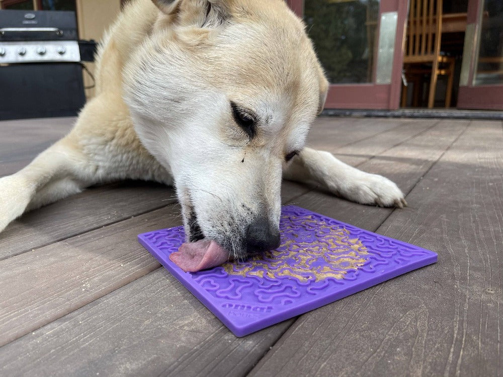 Bones Lick Mat for Dogs and Cats - Partner Brand