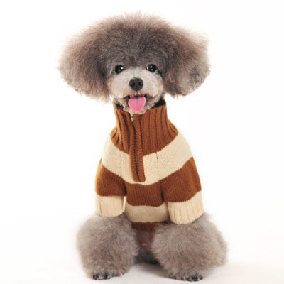 Sporty Stripe Sweater - Partner Brand